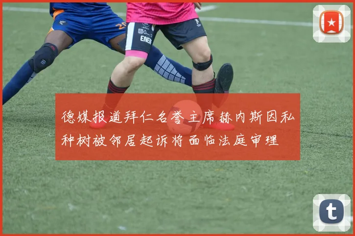 德媒报道拜仁名誉主席赫内斯因私种树被邻居起诉将面临法庭审理